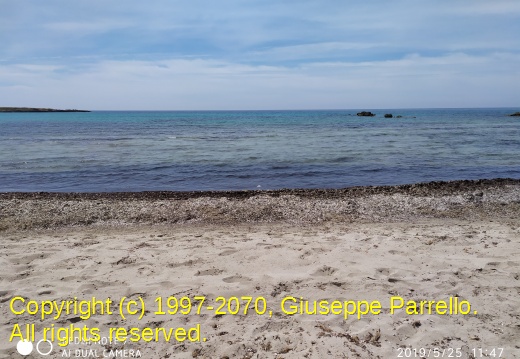 IMG 20190525 114705